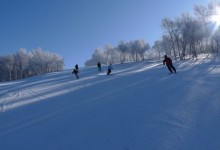 冬奥在即 冰雪运动相关展品亮相进博会