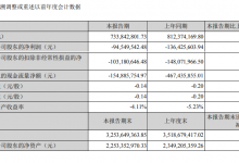 岭南控股：上半年营收7.34亿元 同比下降9.67%